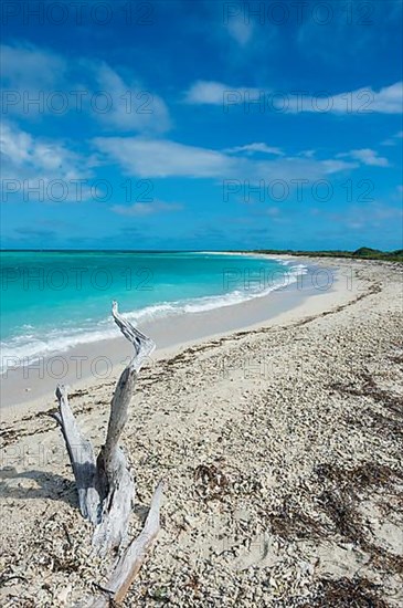 White sand beach in turquoise waters, Dry Tortugas National Park