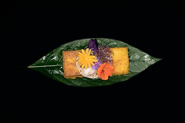 Fried polenta slice with a slice of lotus root and meadow flowers as decoration on an avocado leaf, foddfotography with black background