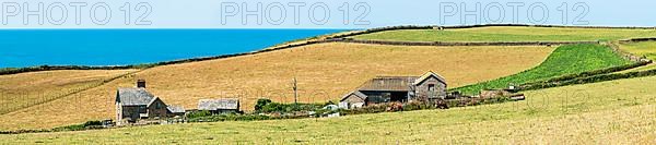 Farm on headland, Baggy Point