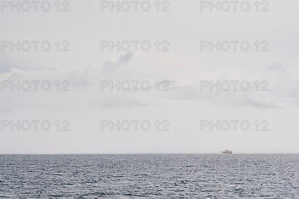 Whale watching boat, Fjord