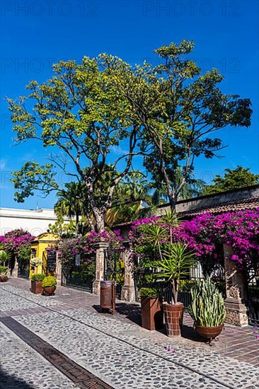 Tequila destillery, Unesco site Tequila