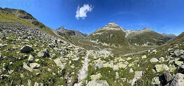 Ascent from the Flueela Pass to Munt da Marti, view of Flueela Wisshorn