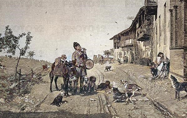 A restless impresario, street artist with donkey and dogs shows tricks in the street