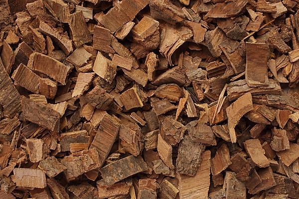 Bark of the medicinal plant coral tree, coral shrub