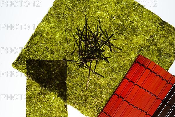 Nori, dried paper-like leaves made from seaweed
