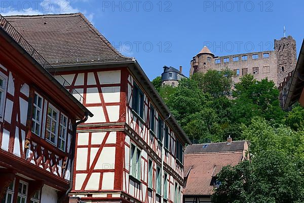 Wertheim Castle and half-timbered house, Wertheim am Main