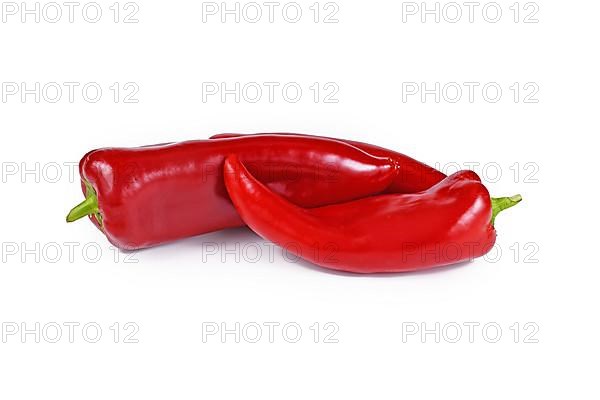 red pointed pepper, vegetables on white background