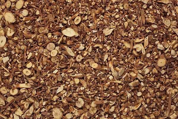 Medicinal plant Thorow-wax, Hare's ear