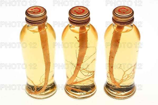 Pickled ginseng,