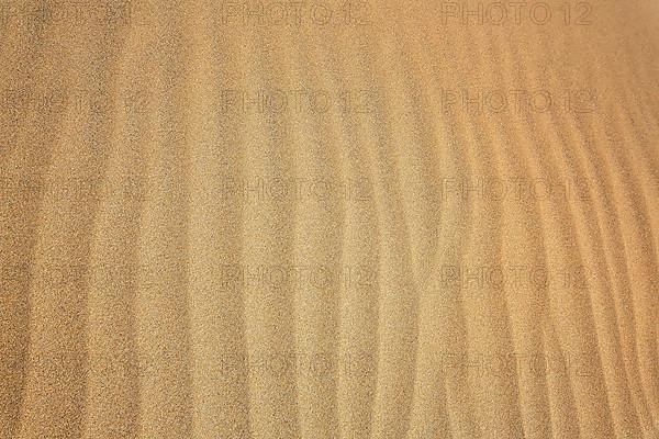 The dunes of Playa Del Ingles in detail. San Bartolome de Tirajana, Gran Canaria