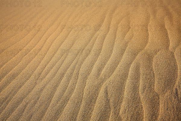The dunes of Playa Del Ingles in detail. San Bartolome de Tirajana, Gran Canaria