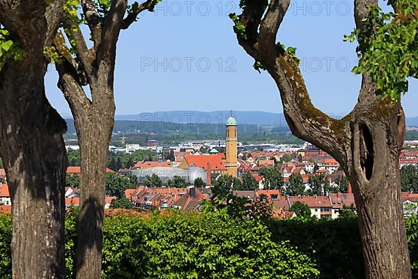 View between the trees of St. Otto in Bamberg in bright sunshine. Bamberg, Upper Franconia