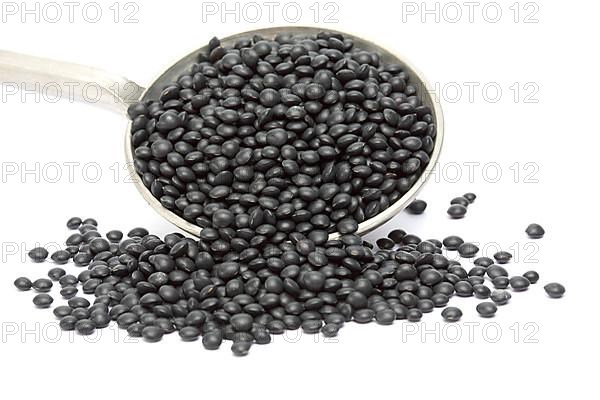 Black beluga lentils,