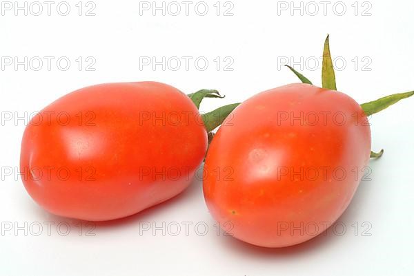 Ripe tomatoes of the variety San Marzano tomatoes, Pomodoro San Marzano dell'Agro Sarnese Nocerino