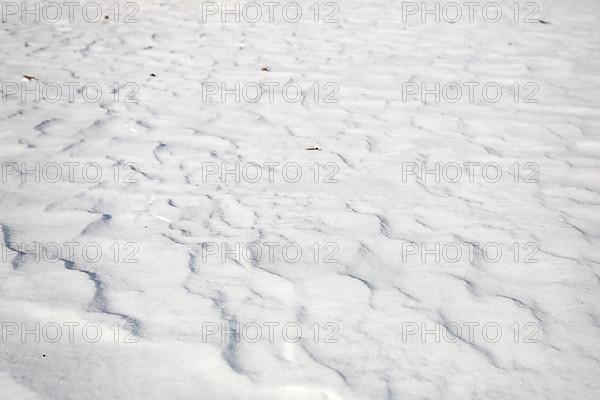 Snow drifts caused by wind from powder snow look like dunes and form bizarre patterns and structures,