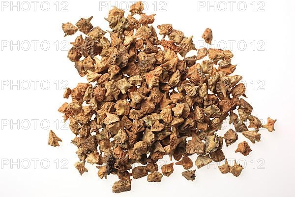 Medicinal plants: Earth spikenard, Tribulus fructus