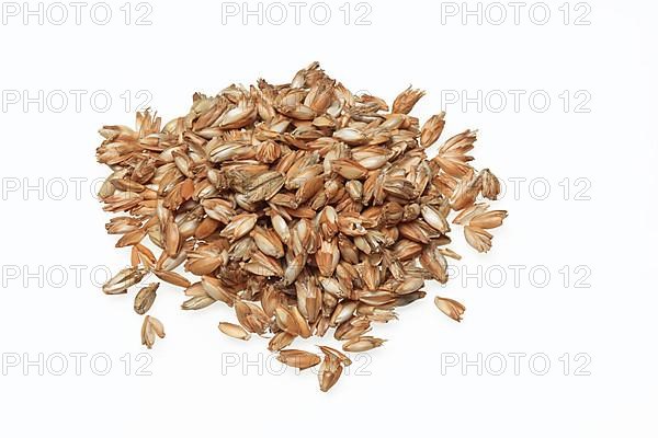 Spelt husks, spelt husks. Spelt husk is probably one of the best-known natural fillings for pillows