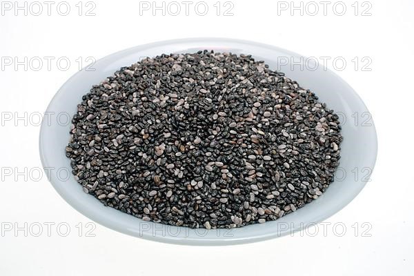Mexican Chia, sage