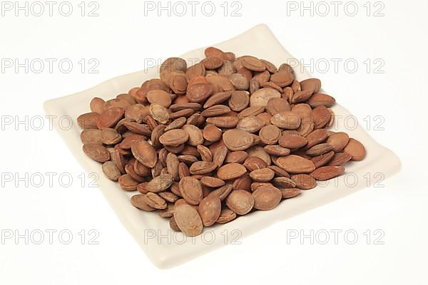 Medicinal plant hair flower, hair flower seeds