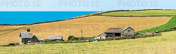 Farm on headland, Baggy Point