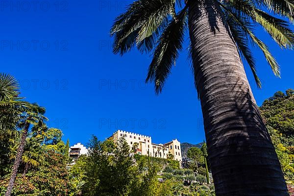 Trauttmansdorff Castle, with palm tree against blue sky