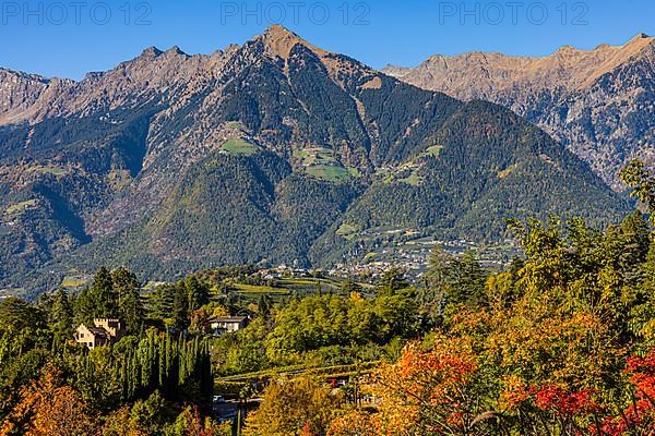 Autumn colours in the gardens of Trauttmansdorff Castle, in the background the Mutspitze