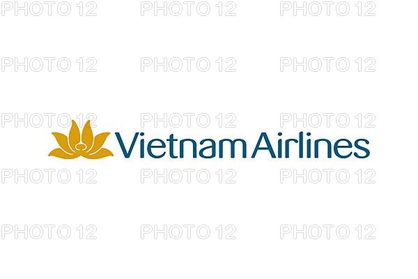 Vietnam Airline, Logo