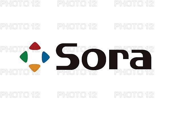 Sora Ltd. logo, white background