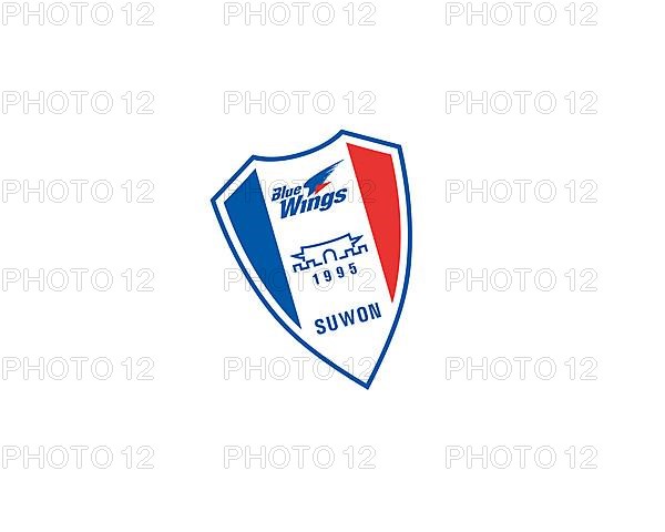 Suwon Samsung Bluewings, Rotated Logo