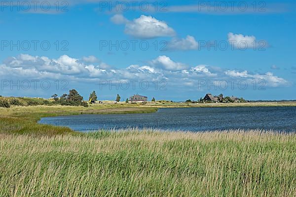 Houses, Graswarder peninsula