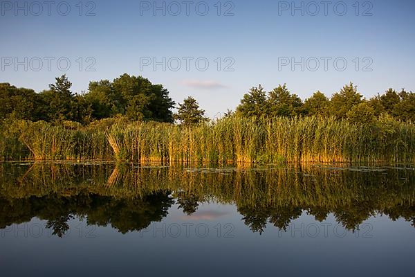 Watercourse section of the Middle Havel, Brandenburg