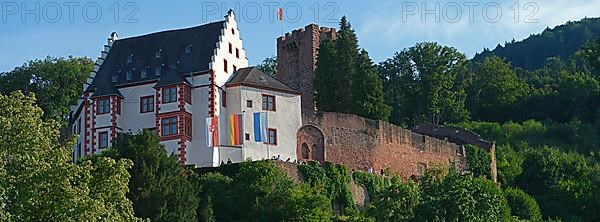 Mildenburg, Miltenberg