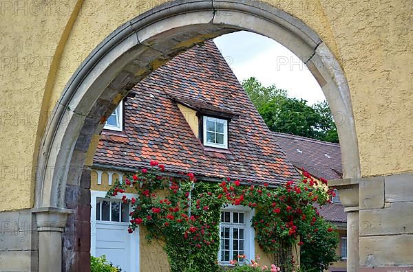 Red climbing roses on house facade