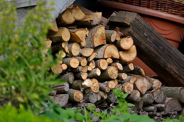 Firewood store