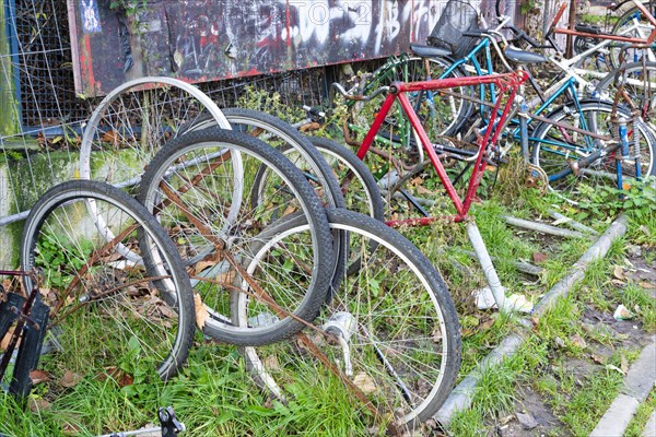 Junkyard