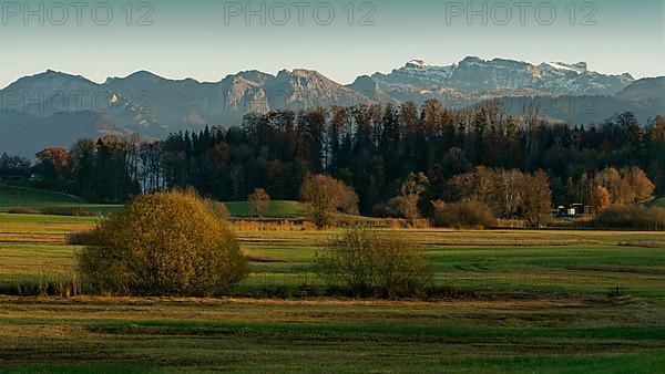 Autumn landscape in the evening light