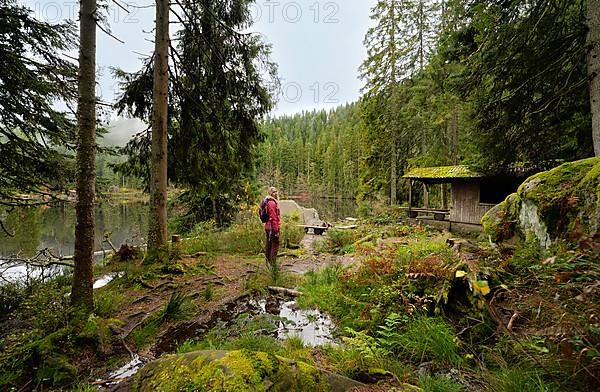 Woman in nature