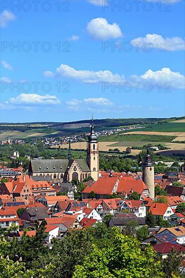 Historic church of Saint Martin in Tauberbischofsheim