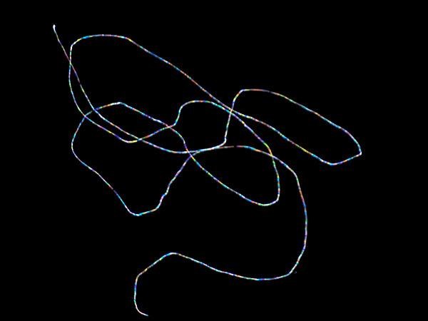 Coloured twinkling of the star Sirius