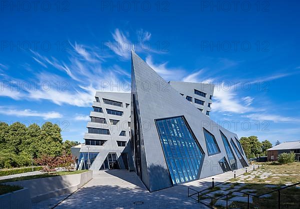 Leuphana University