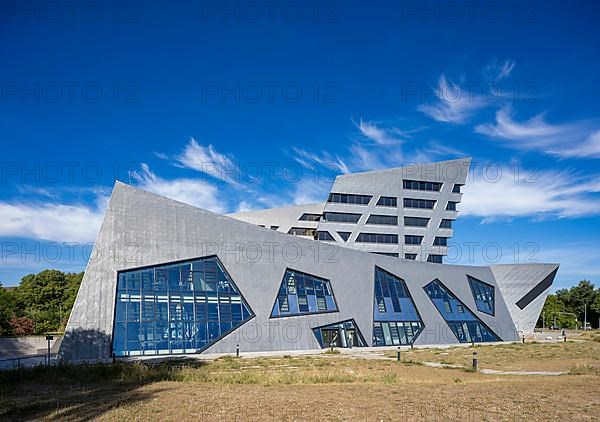 Leuphana University