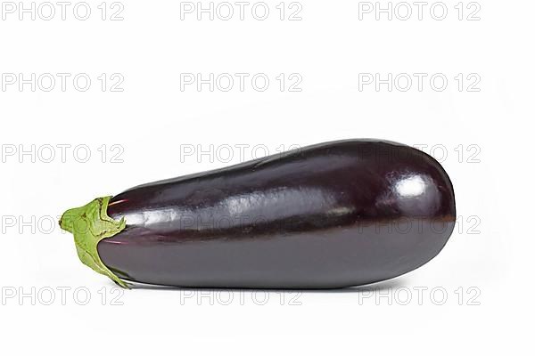 Whole raw eggplant vegetable on white background