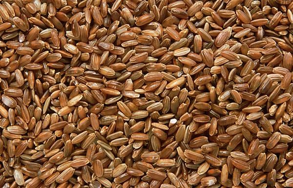 Rice
