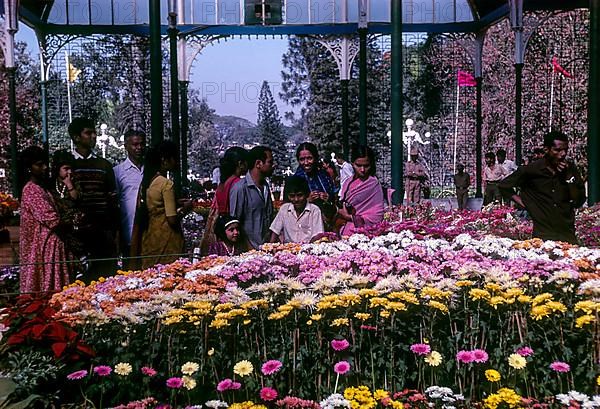 Flower show in glass house at Lal Bagh botanical gardens in Bengaluru Bangalore