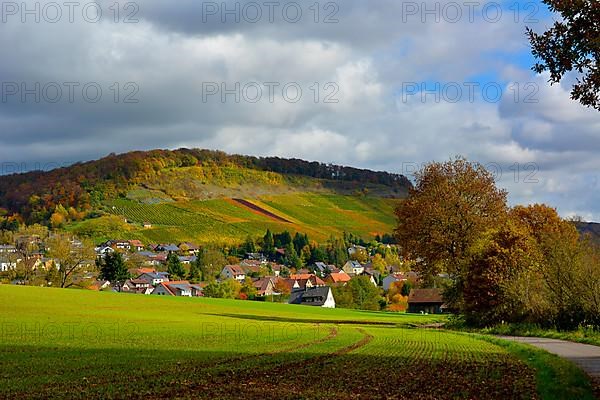 BW. Schuetzingen
