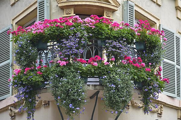 France
