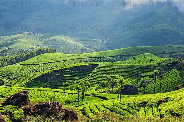 Kerala India travel background