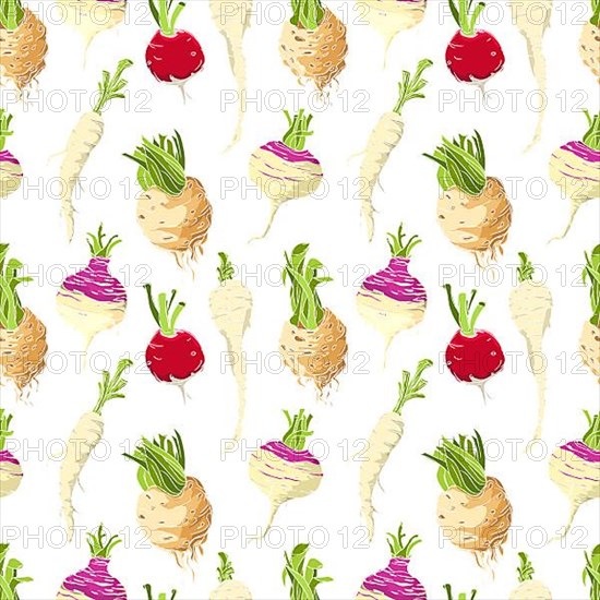 Vegetables roots pattern over white background