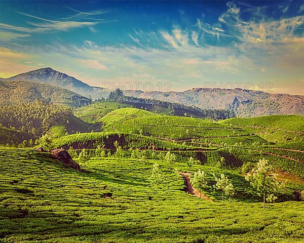 Kerala India travel background