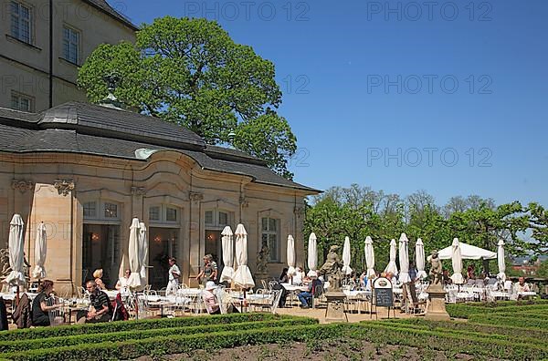 The rose garden at the new residence